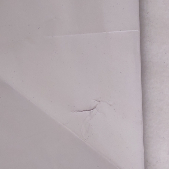 Ferragamo Paper Bags 2 Pack plus Shoe Dust bag - Picture 6 of 12